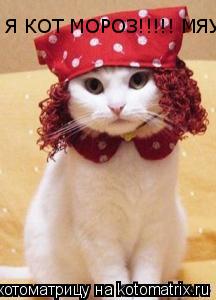 Котоматрица: Я КОТ МОРОЗ!!!!! МЯУ!