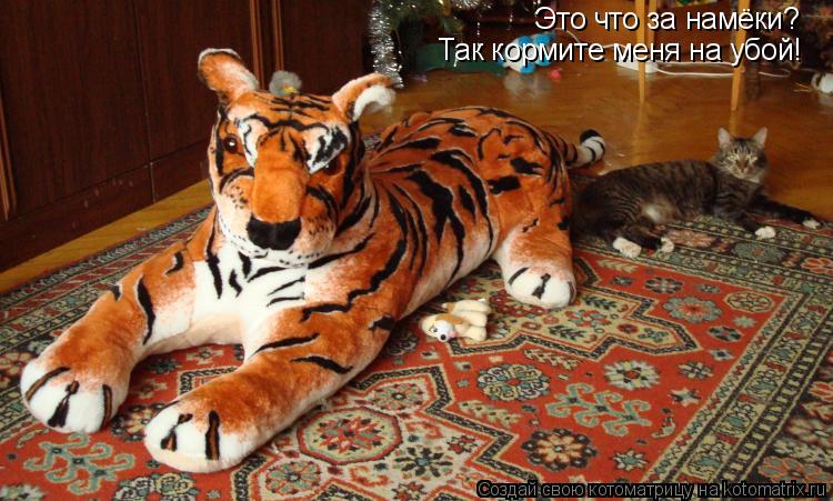 Это что за намёки? Так кормите меня на убой!... Котоматрица: Это что за намёки? Так кормите меня на убой!
