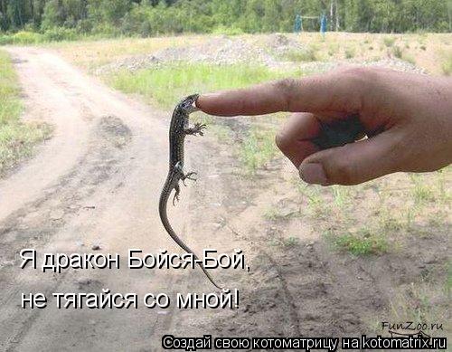 Я дракон Бойся-Бой, не тягайся со мной!... Котоматрица: Я дракон Бойся-Бой, не тягайся со мной!