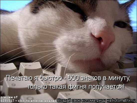 Печатаю я быстро - 600 знаков в минуту, только такая фигня получается!... Котоматрица: Печатаю я быстро - 600 знаков в минуту, только такая фигня получается!