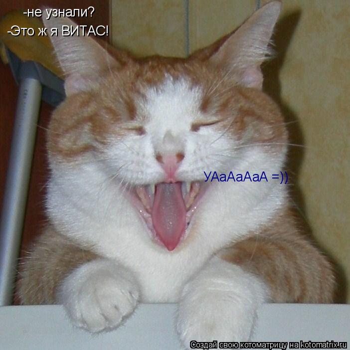 Котоматрица: -не узнали? -Это ж я ВИТАС! УАаАаАаА =))