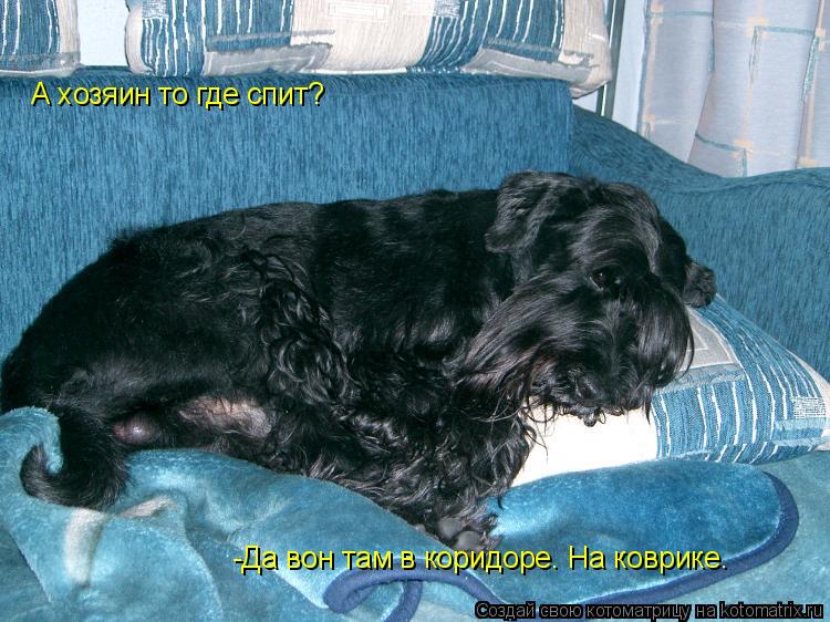 Котоматрица: А хозяин то где спит? -Да вон там в коридоре. На коврике.
