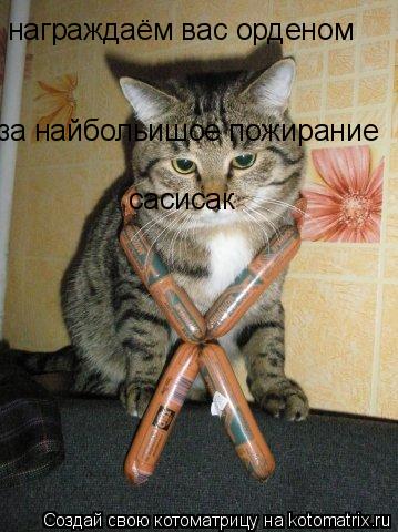 награждаём вас орденом за найбольишое пожирание сасисак... Котоматрица: награждаём вас орденом за найбольишое пожирание сасисак