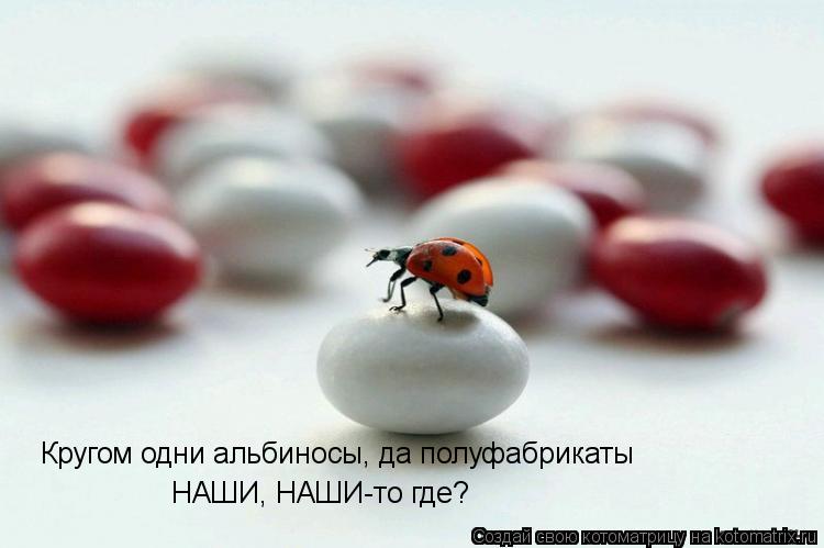 Котоматрица: Кругом одни альбиносы, да полуфабрикаты НАШИ, НАШИ-то где?
