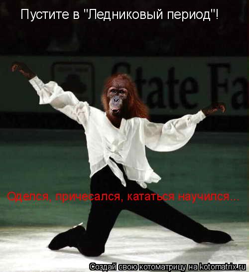 Пустите в "Ледниковый период"! Оделся, причесался, кататься научился...... Котоматрица: Пустите в "Ледниковый период"! Оделся, причесался, кататься научился...
