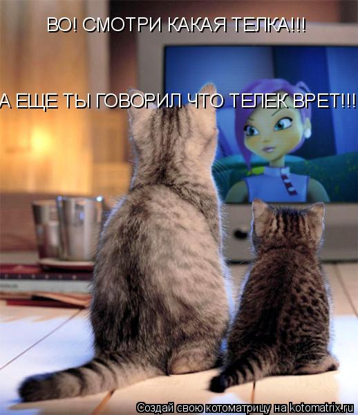 Котоматрица: ВО! СМОТРИ КАКАЯ ТЕЛКА!!!  А ЕЩЕ ТЫ ГОВОРИЛ ЧТО ТЕЛЕК ВРЕТ!!!!