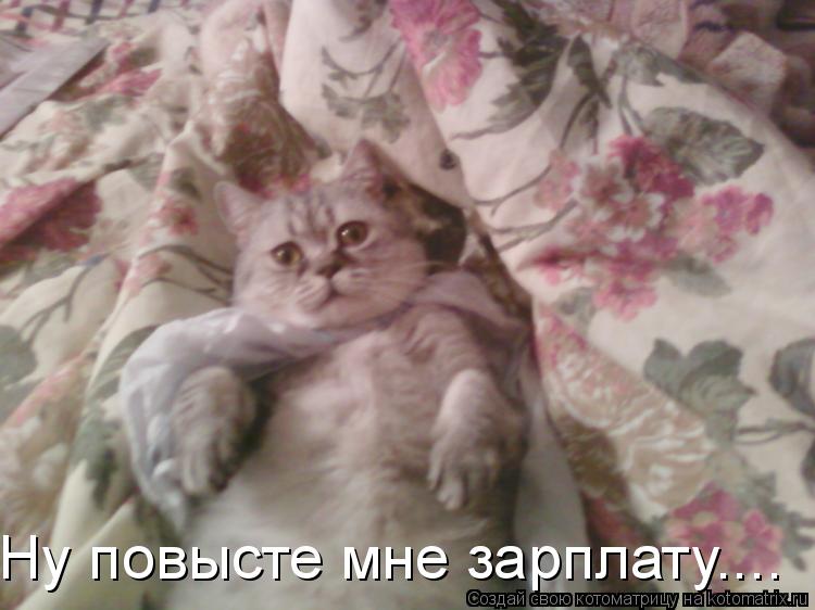 Ну повысте мне зарплату....... Котоматрица: Ну повысте мне зарплату....