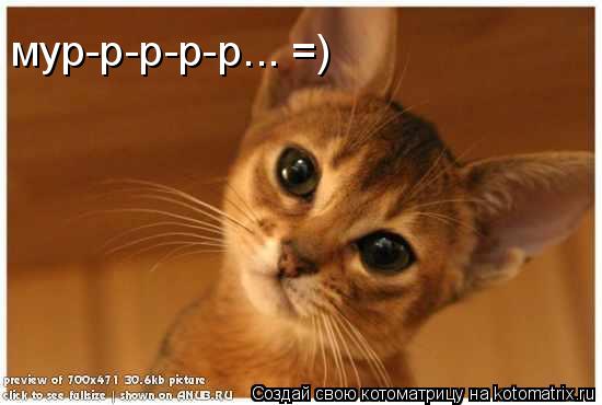 мур-р-р-р-р... =)... Котоматрица: мур-р-р-р-р... =)