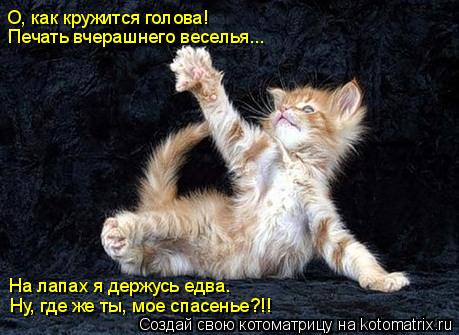 О, как кружится голова! Печать вчерашнего веселья... Ну, где же ты, мое спасенье?!! На лапах я держу... Котоматрица: О, как кружится голова! Печать вчерашнего веселья... Ну, где же ты, мое спасенье?!! На лапах я держусь едва.