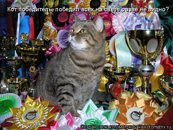 Кот победитель, победил всех на свете.разве не видно?... Котоматрица: Кот победитель, победил всех на свете.разве не видно?
