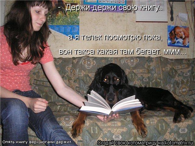 Держи-держи свою книгу.. а я телек посмотрю пока, вон такса какая там бегает. ммм... -... Котоматрица: Держи-держи свою книгу.. а я телек посмотрю пока, вон такса какая там бегает. ммм... -
