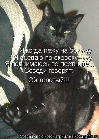 Я когда лежу на боку-уу Я съедаю по окороку--ууу Я поднимаюсь по лестнице... Соседи говорят: Эй толст... Котоматрица: Я когда лежу на боку-уу Я съедаю по окороку--ууу Я поднимаюсь по лестнице... Соседи говорят: Эй толстый!!!