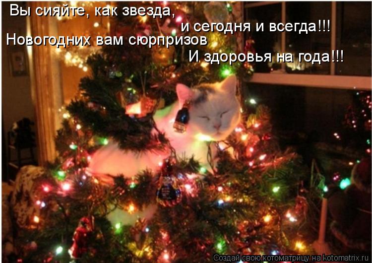 Вы сияйте, как звезда, и сегодня и всегда!!! Новогодних вам сюрпризов И здоровья на года!!!... Котоматрица: Вы сияйте, как звезда, и сегодня и всегда!!! Новогодних вам сюрпризов И здоровья на года!!!