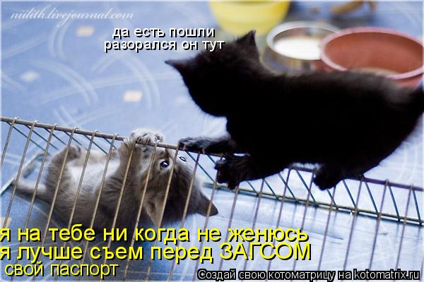 свой паспорт я лучше съем перед ЗАГСОМ я на тебе ни когда не женюсь да есть пошли разорался он тут... Котоматрица: свой паспорт я лучше съем перед ЗАГСОМ я на тебе ни когда не женюсь да есть пошли разорался он тут