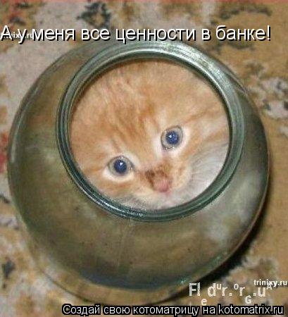 А у меня все ценности в банке!... Котоматрица: А у меня все ценности в банке!