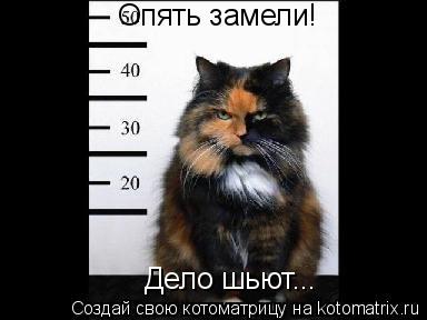 Опять замели! Дело шьют...... Котоматрица: Опять замели! Дело шьют...