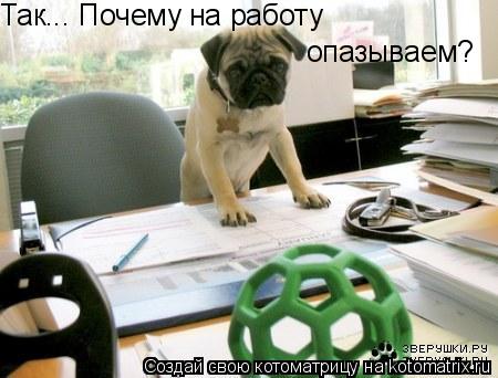Так... Почему на работу опазываем?... Котоматрица: Так... Почему на работу опазываем?