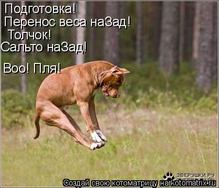 Воо! Пля! Подготовка! Перенос веса наЗад! Толчок! Сальто наЗад!... Котоматрица: Воо! Пля! Подготовка! Перенос веса наЗад! Толчок! Сальто наЗад!