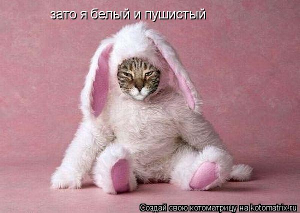зато я белый и пушистый... Котоматрица: зато я белый и пушистый