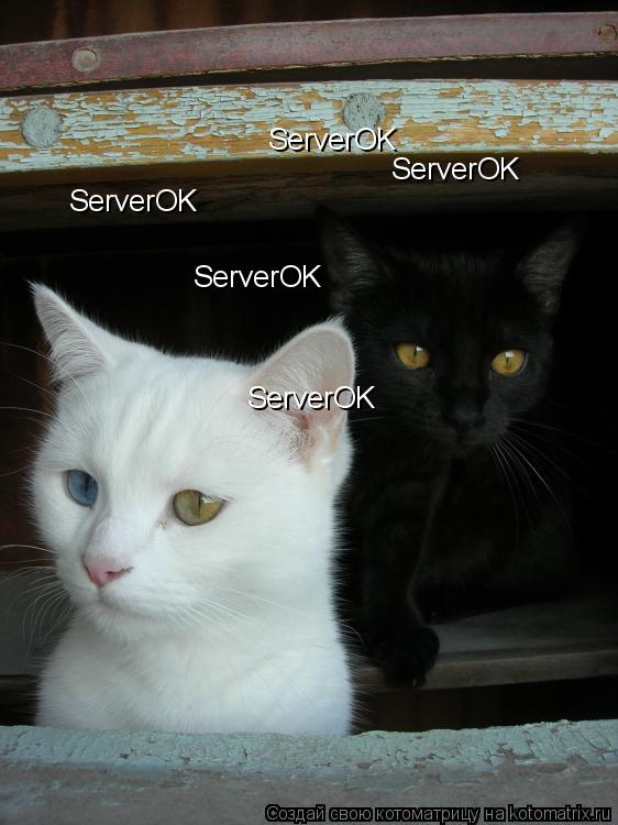 ServerOK ServerOK ServerOK ServerOK ServerOK... Котоматрица: ServerOK ServerOK ServerOK ServerOK ServerOK