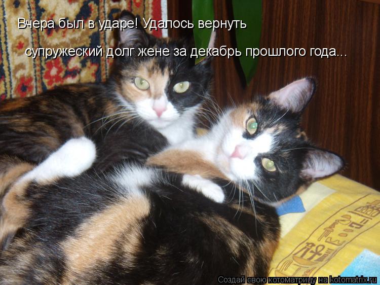 Вчера был в ударе! Удалось вернуть супружеский долг жене за декабрь прошлого года...... Котоматрица: Вчера был в ударе! Удалось вернуть супружеский долг жене за декабрь прошлого года...