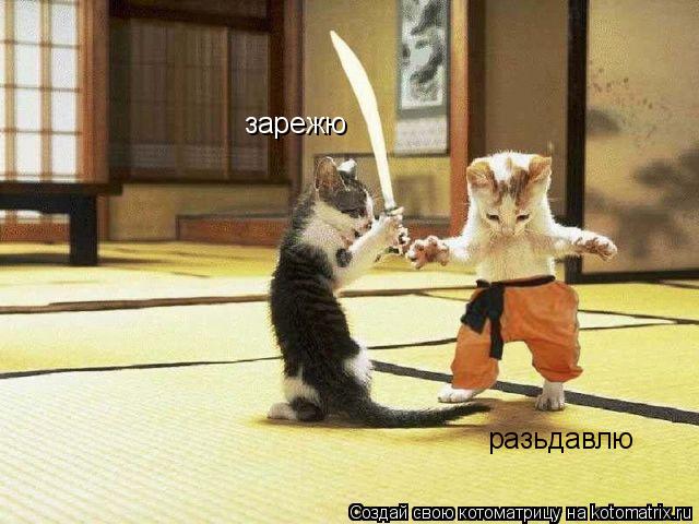 зарежю разьдавлю... Котоматрица: зарежю разьдавлю