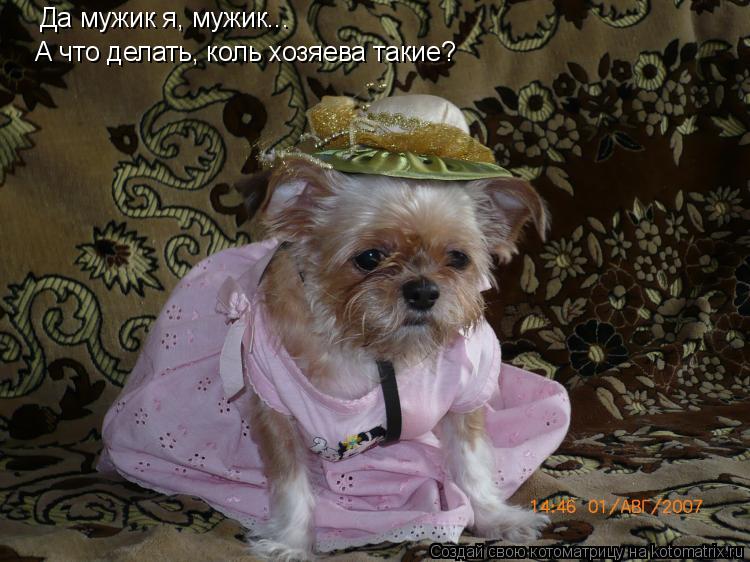 Да мужик я, мужик... А что делать, коль хозяева такие?... Котоматрица: Да мужик я, мужик... А что делать, коль хозяева такие?