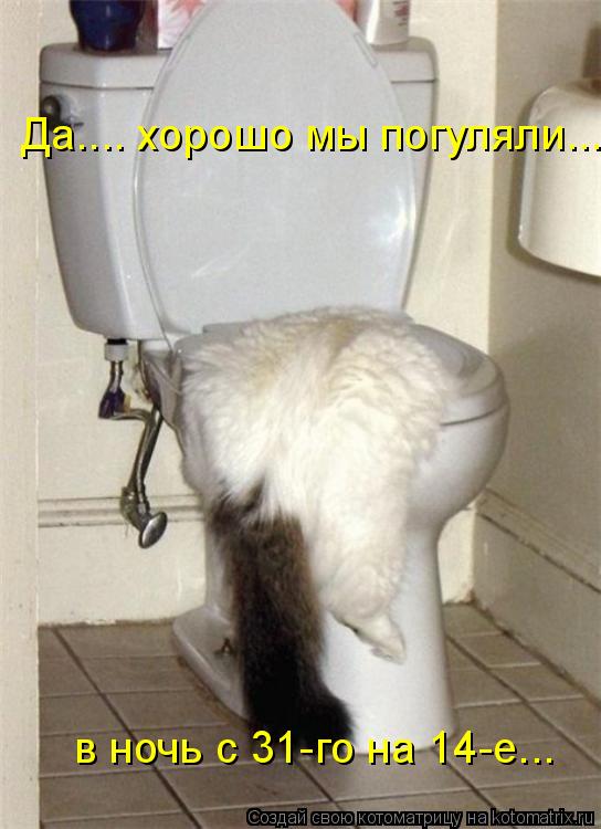 Да.... хорошо мы погуляли... в ночь с 31-го на 14-е...... Котоматрица: Да.... хорошо мы погуляли... в ночь с 31-го на 14-е...