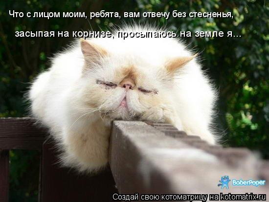 Что с лицом моим, ребята, вам отвечу без стесненья, засыпая на корнизе, просыпаюсь на земле я...... Котоматрица: Что с лицом моим, ребята, вам отвечу без стесненья, засыпая на корнизе, просыпаюсь на земле я...