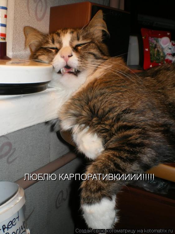 ЛЮБЛЮ КАРПОРАТИВКИИИИ!!!!!... Котоматрица: ЛЮБЛЮ КАРПОРАТИВКИИИИ!!!!!