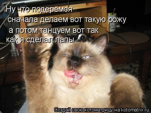 Ну что подерёмся сначала делаем вот такую рожу а потом танцуем вот так как я сделал лапы... Котоматрица: Ну что подерёмся сначала делаем вот такую рожу а потом танцуем вот так как я сделал лапы