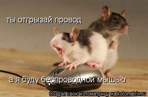ты отгрызай провод а я буду беспроводной мышью... Котоматрица: ты отгрызай провод а я буду беспроводной мышью