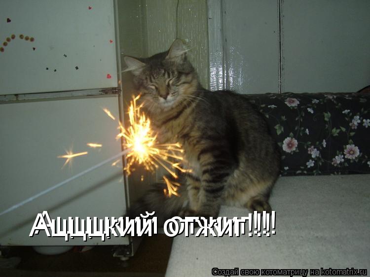 Ацццкий отжиг!!! Ацццкий отжиг!!!... Котоматрица: Ацццкий отжиг!!! Ацццкий отжиг!!!