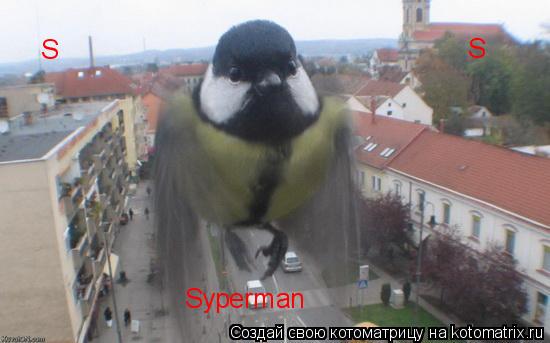 S S Syperman... Котоматрица: S S Syperman