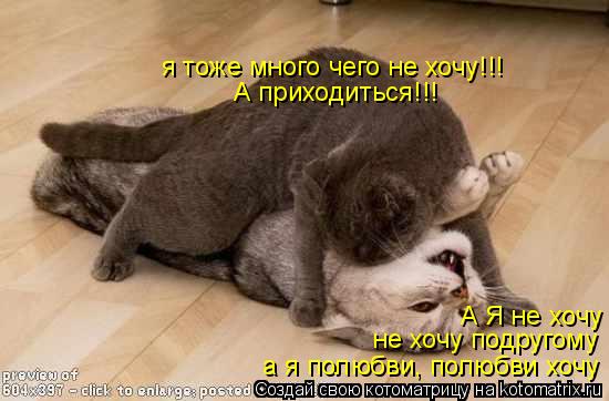 А Я не хочу не хочу подругому а я полюбви, полюбви хочу я тоже много чего не хочу!!! А приходиться!!!... Котоматрица: А Я не хочу не хочу подругому а я полюбви, полюбви хочу я тоже много чего не хочу!!! А приходиться!!!