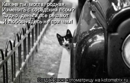 Как же ты, могла, родная, Изменить с соседским псом? Видно, деньги все решают И любовь здесь не при ч... Котоматрица: Как же ты, могла, родная, Изменить с соседским псом? Видно, деньги все решают И любовь здесь не при чем!