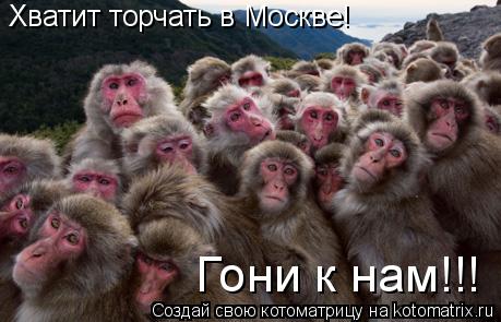 Хватит торчать в Москве! Гони к нам!!!... Котоматрица: Хватит торчать в Москве! Гони к нам!!!
