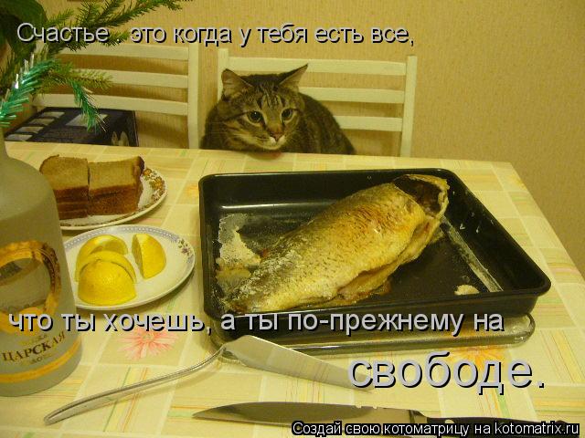 Счастье – это когда у тебя есть все, что ты хочешь, а ты по-прежнему на свободе.... Котоматрица: Счастье – это когда у тебя есть все, что ты хочешь, а ты по-прежнему на свободе.