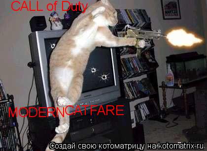CALL of Duty MODERN CATFARE... Котоматрица: CALL of Duty MODERN CATFARE