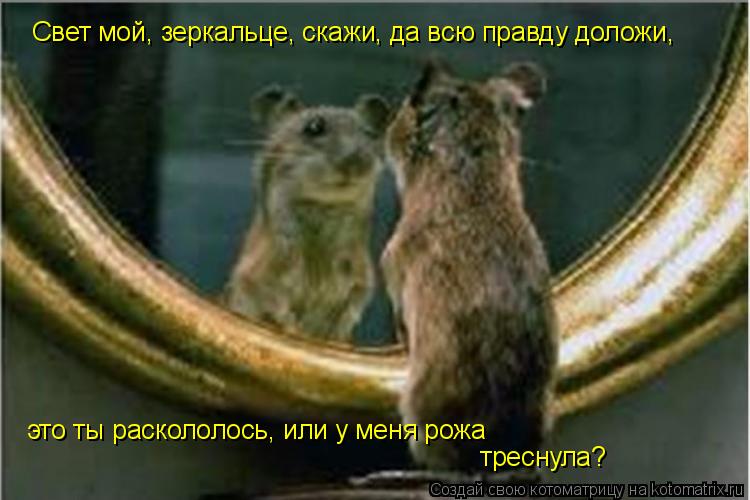 Свет мой, зеркальце, скажи, да всю правду доложи, это ты раскололось, или у меня рожа треснула?... Котоматрица: Свет мой, зеркальце, скажи, да всю правду доложи, это ты раскололось, или у меня рожа треснула?