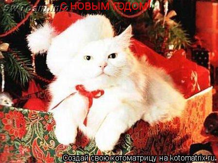 с новым годом!... Котоматрица: с новым годом!