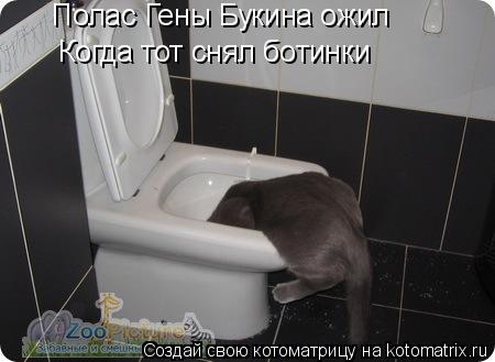 Полас Гены Букина ожил Когда тот снял ботинки... Котоматрица: Полас Гены Букина ожил Когда тот снял ботинки