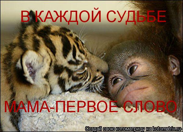 МАМА-ПЕРВОЕ СЛОВО В КАЖДОЙ СУДЬБЕ... Котоматрица: МАМА-ПЕРВОЕ СЛОВО В КАЖДОЙ СУДЬБЕ