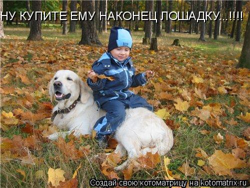 НУ КУПИТЕ ЕМУ НАКОНЕЦ ЛОШАДКУ...!!!!... Котоматрица: НУ КУПИТЕ ЕМУ НАКОНЕЦ ЛОШАДКУ...!!!!
