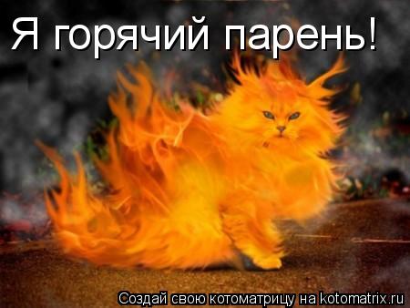 Я горячий парень!... Котоматрица: Я горячий парень!