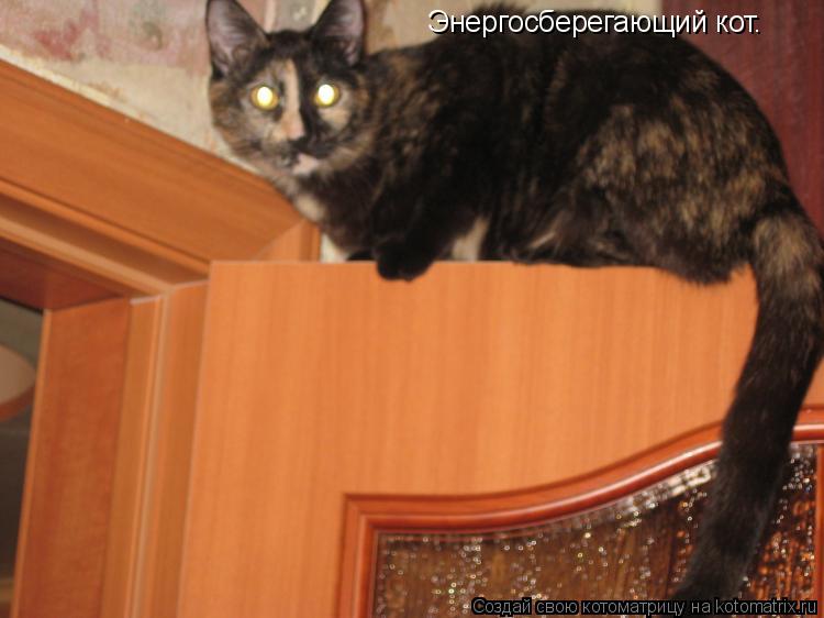 Энергосберегающий кот.... Котоматрица: Энергосберегающий кот.