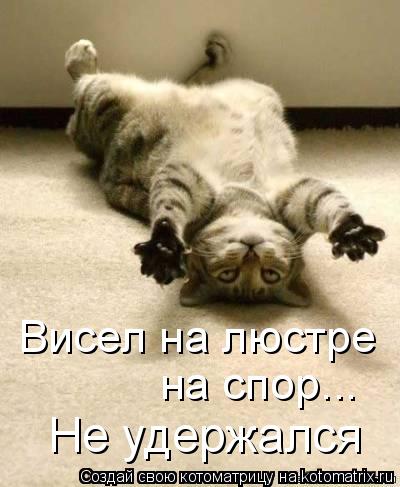 Не удержался Висел на люстре на спор...... Котоматрица: Не удержался Висел на люстре на спор...