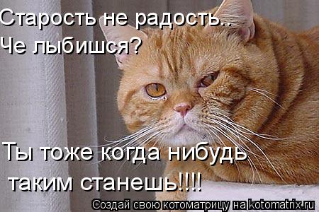 Старость не радость.. Че лыбишся? Ты тоже когда нибудь таким станешь!!!!... Котоматрица: Старость не радость.. Че лыбишся? Ты тоже когда нибудь таким станешь!!!!