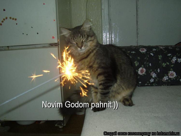 Novim Godom pahnit:))... Котоматрица: Novim Godom pahnit:))