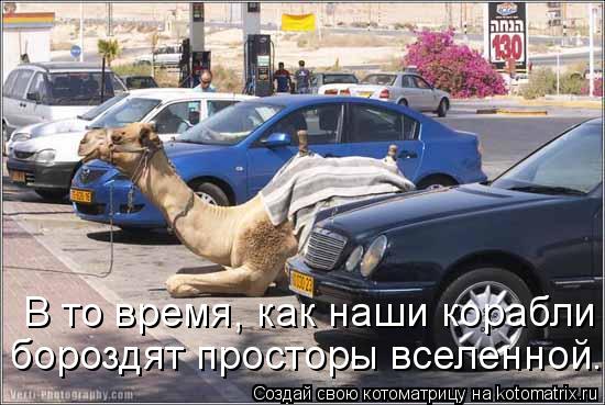 В то время, как наши корабли бороздят просторы вселенной...... Котоматрица: В то время, как наши корабли бороздят просторы вселенной...